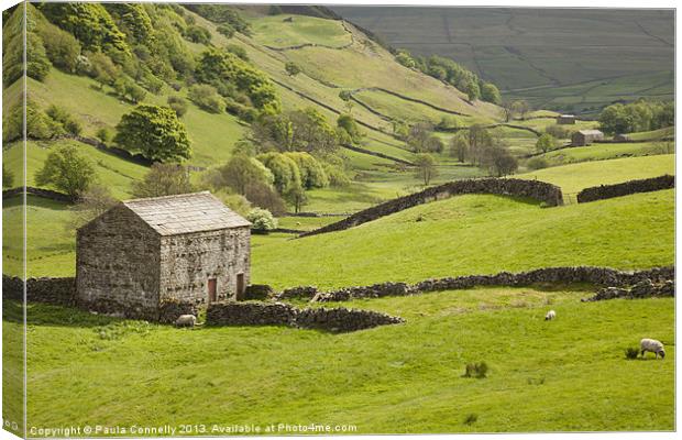 Swaledale Canvas Print by Paula Connelly