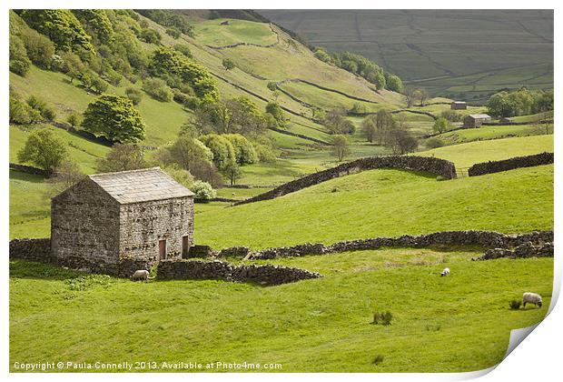 Swaledale Print by Paula Connelly