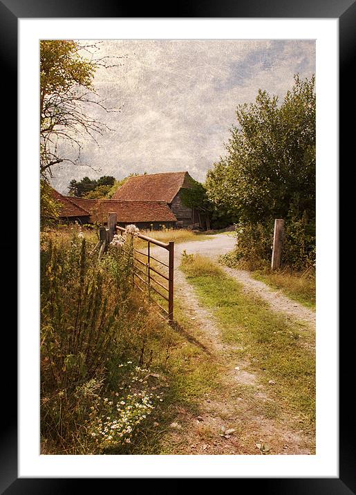 Kent country lane Framed Mounted Print by Dawn Cox