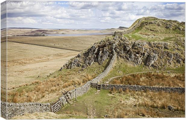 Hadrians Wall Country Canvas Print by Paula Connelly