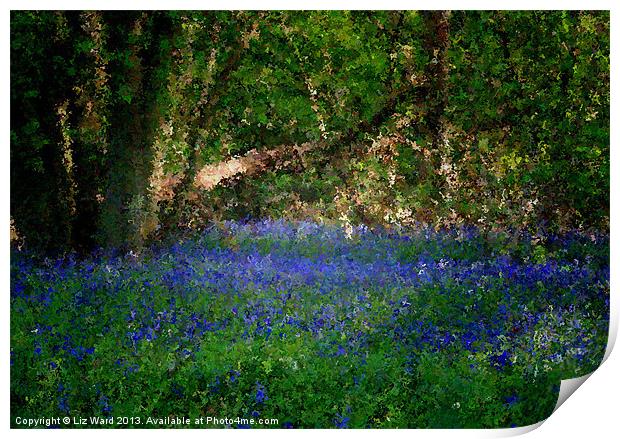 Bluebell in abstract Print by Liz Ward