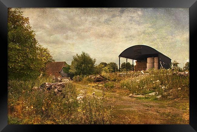 The Old Barn Framed Print by Dawn Cox