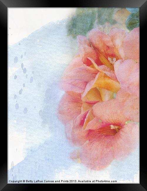 Trumpet Flowers # 3 Framed Print by Betty LaRue