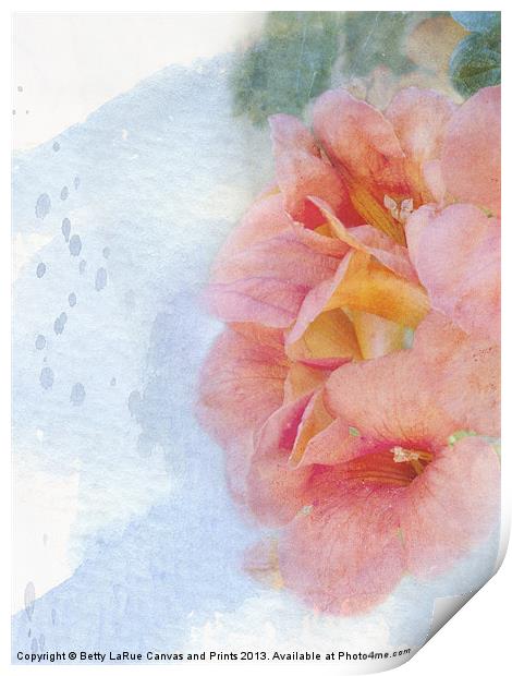 Trumpet Flowers # 3 Print by Betty LaRue