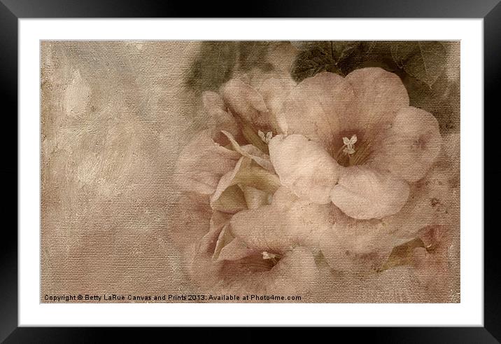 Trumpet Flowers # 1 Framed Mounted Print by Betty LaRue