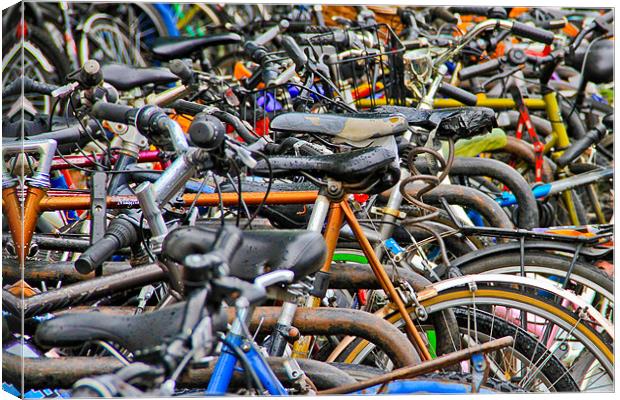 Bicycles galore Canvas Print by Will Black