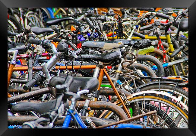 Bicycles galore Framed Print by Will Black