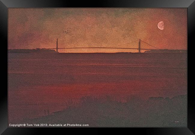 THE VERRAZZANO NARROWS BRIDGE Framed Print by Tom York