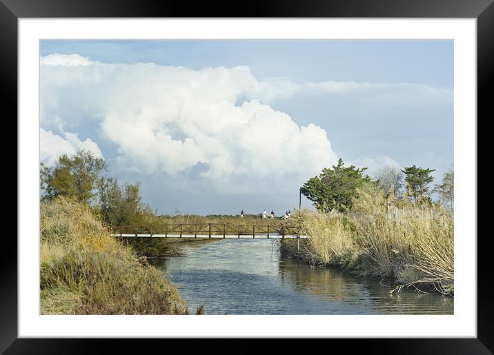 Riding white horses by canal Framed Mounted Print by Jean Gill