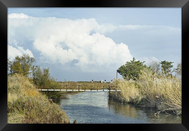 Riding white horses by canal Framed Print by Jean Gill