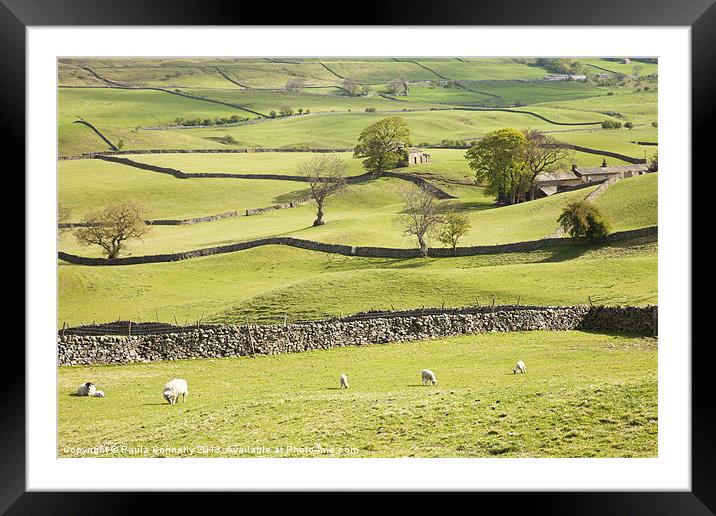 Wensleydale Fields Framed Mounted Print by Paula Connelly
