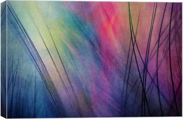 Tropical Feather Abstract Canvas Print by Sharon Johnstone