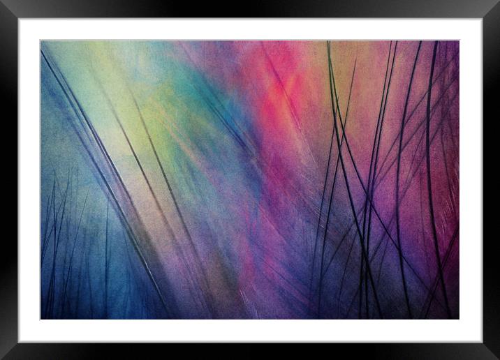 Tropical Feather Abstract Framed Mounted Print by Sharon Johnstone