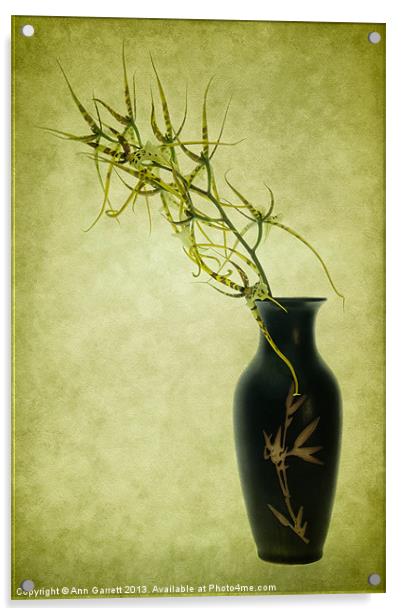 Spider Orchid in Oriental Vase Acrylic by Ann Garrett
