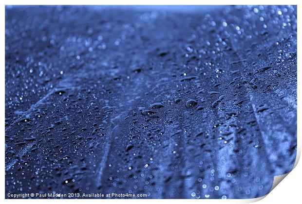 Raindrops on an umbrella Print by Paul Madden