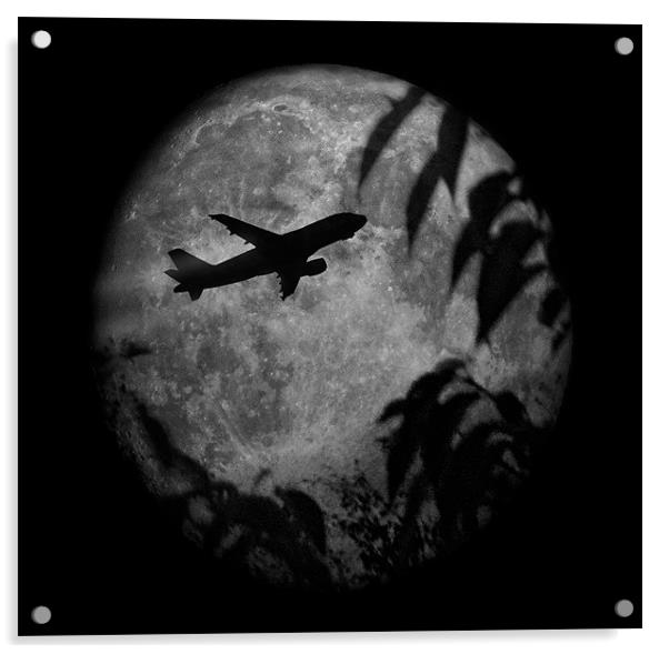 Fly me to the Moon Acrylic by Fraser Hetherington