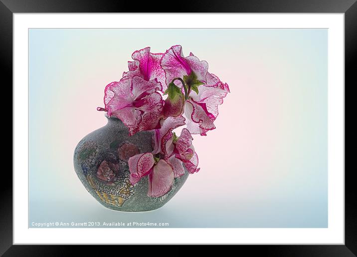Vase of Pretty Pink Sweet Peas 2 Framed Mounted Print by Ann Garrett