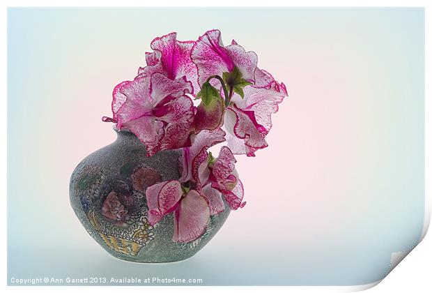 Vase of Pretty Pink Sweet Peas 2 Print by Ann Garrett