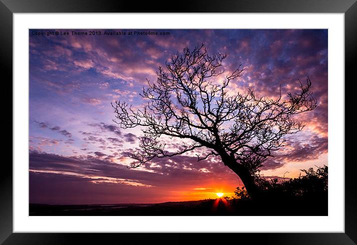 Oak Tree Sunset Framed Mounted Print by Lee Thorne
