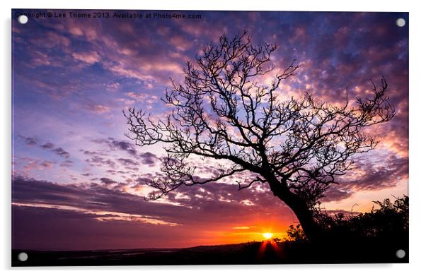 Oak Tree Sunset Acrylic by Lee Thorne