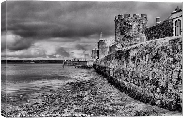 Caenarfon Sea Defense Canvas Print by Sean Wareing