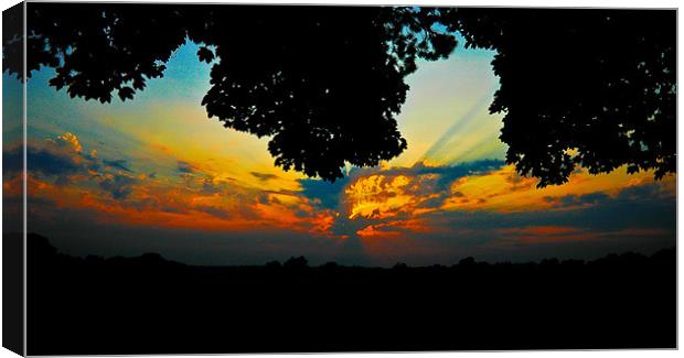 The Sun is Setting Canvas Print by Tony Greer
