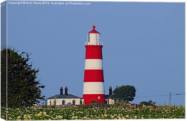 Happisburgh Lighthouse Norfolk (2) Canvas Print by Avril Harris