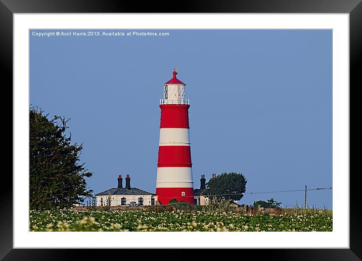 Happisburgh Lighthouse Norfolk (2) Framed Mounted Print by Avril Harris
