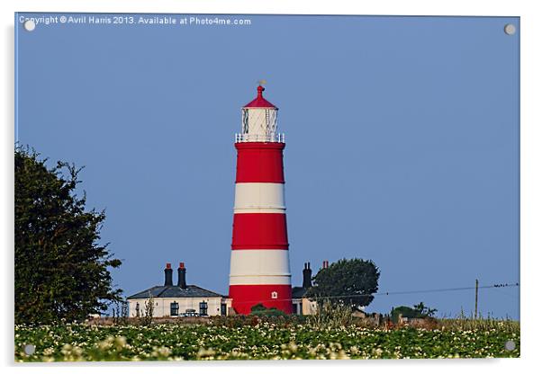 Happisburgh Lighthouse Norfolk (2) Acrylic by Avril Harris