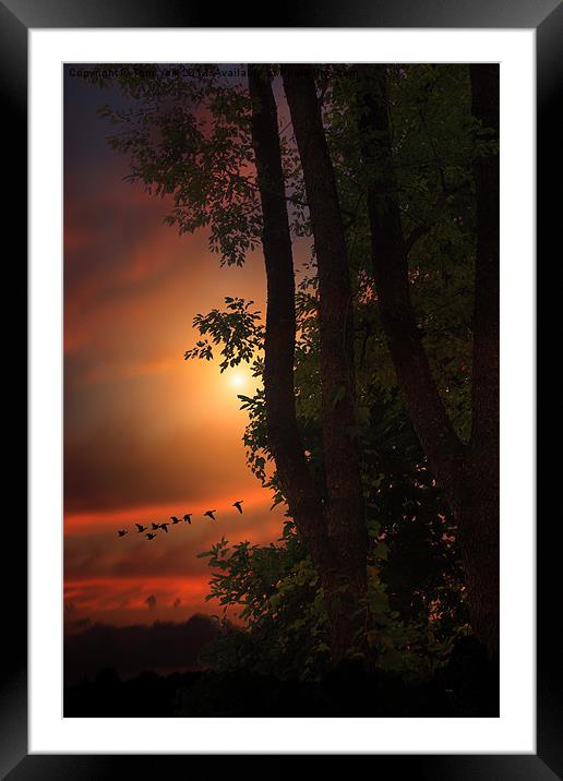 LATE AUGUST SUNSET Framed Mounted Print by Tom York