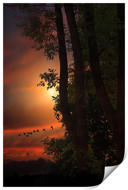 LATE AUGUST SUNSET Print by Tom York