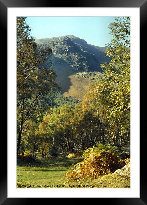 Lakes District at Borrowdale Framed Mounted Print by Carole-Anne Fooks