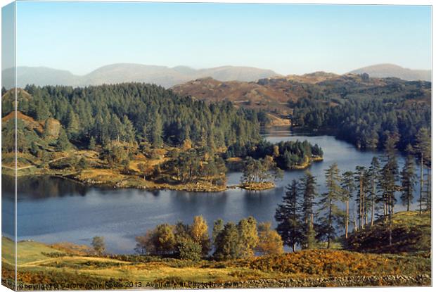 Tarn Hows The Lakes District Canvas Print by Carole-Anne Fooks