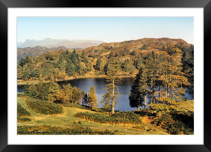 Tarn Hows The Lakes District Framed Mounted Print by Carole-Anne Fooks