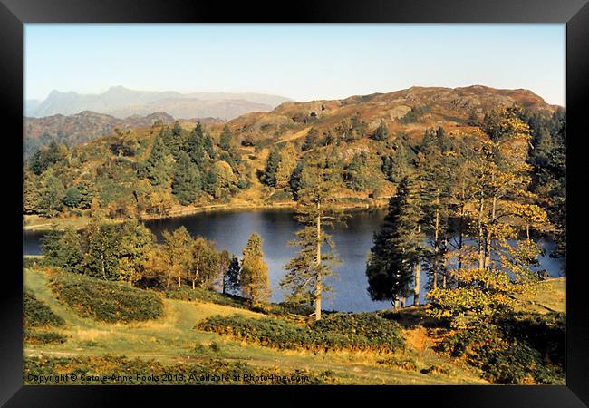 Tarn Hows The Lakes District Framed Print by Carole-Anne Fooks