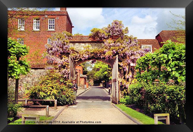 Wisteria Bower Winchester Framed Print by Carole-Anne Fooks