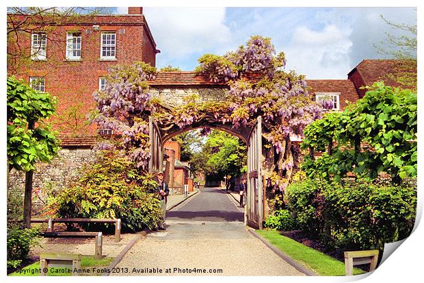Wisteria Bower Winchester Print by Carole-Anne Fooks