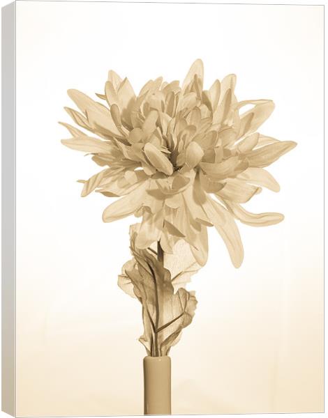 Antique Artificial Flower Canvas Print by Mark Llewellyn
