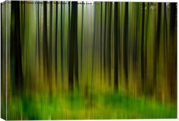 Abstract Trees Canvas Print by Trevor Kersley RIP