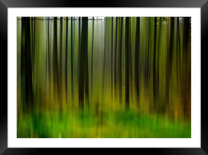Abstract Trees Framed Mounted Print by Trevor Kersley RIP