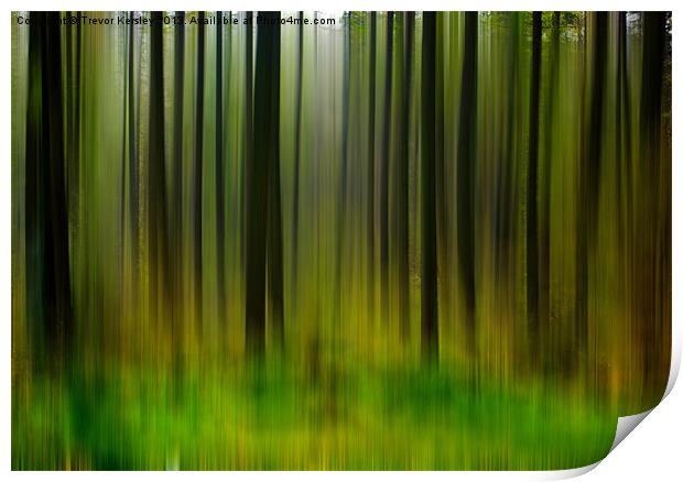 Abstract Trees Print by Trevor Kersley RIP
