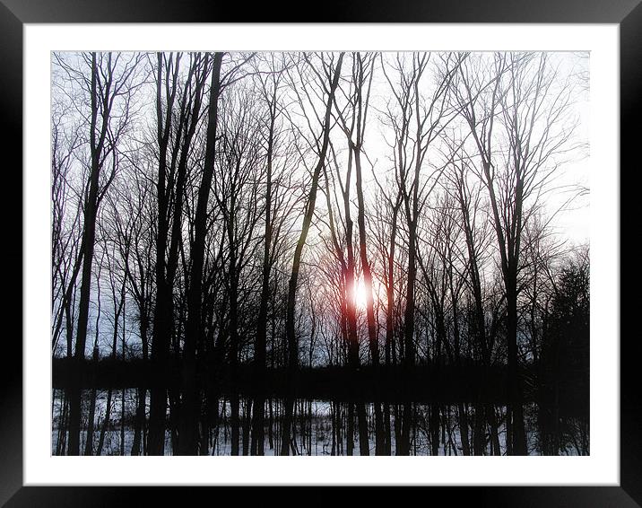 Winter Sunset Framed Mounted Print by Mary Lane