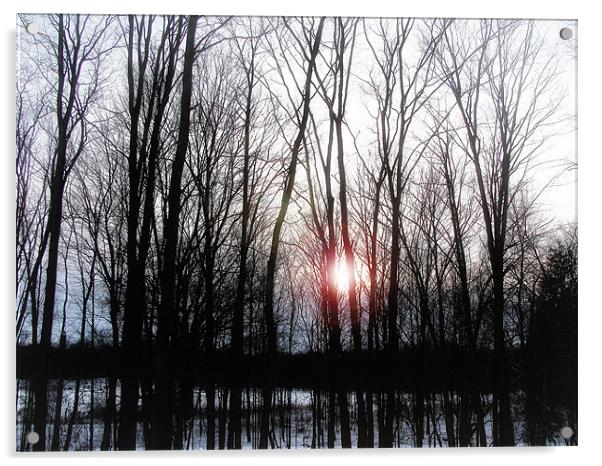 Winter Sunset Acrylic by Mary Lane