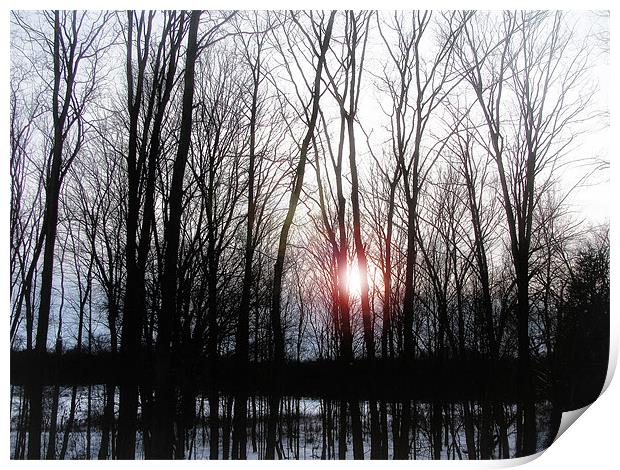 Winter Sunset Print by Mary Lane