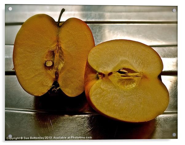 Apple cut in half Acrylic by Sue Bottomley