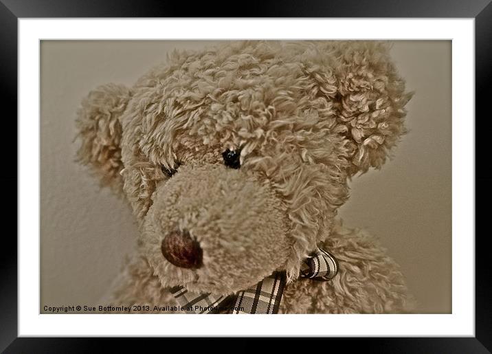 Old Teddy Bear Framed Mounted Print by Sue Bottomley
