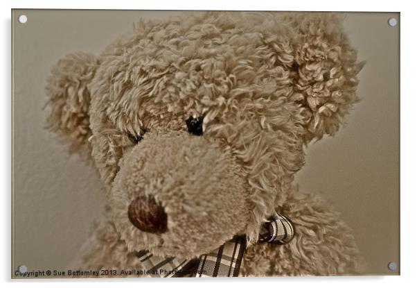 Old Teddy Bear Acrylic by Sue Bottomley