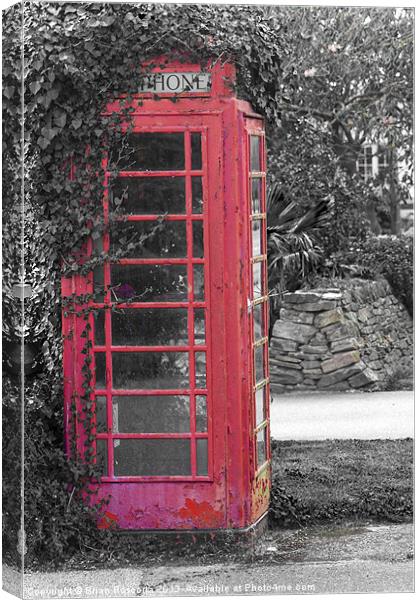Red Phone Box Canvas Print by Brian Roscorla