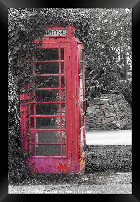 Red Phone Box Framed Print by Brian Roscorla