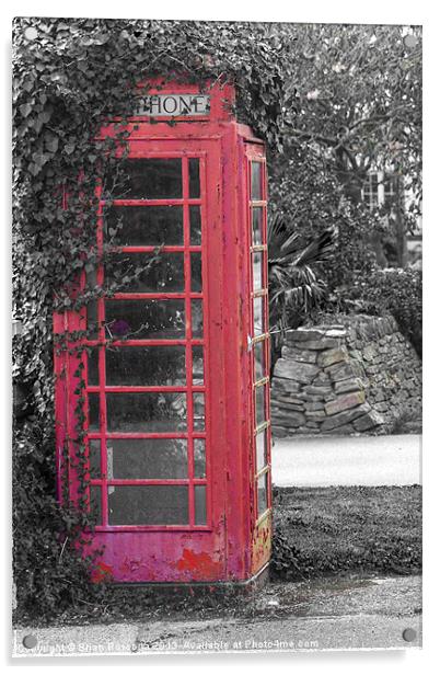 Red Phone Box Acrylic by Brian Roscorla